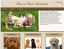 Tablet Screenshot of blossomranchlabradoodles.com